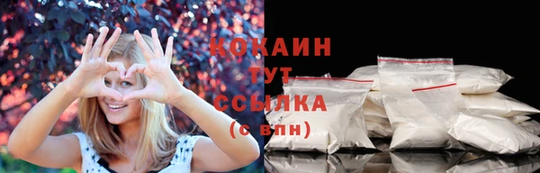 прущие грибы Белокуриха