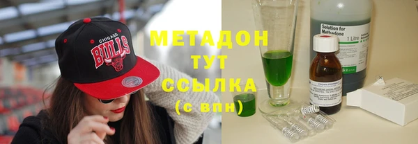 прущие грибы Белокуриха