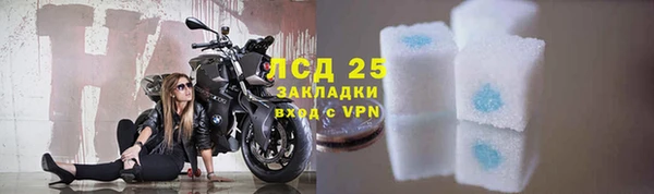 прущие грибы Белокуриха