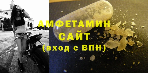 прущие грибы Белокуриха