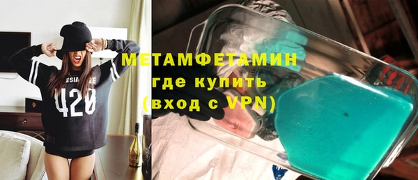 прущие грибы Белокуриха