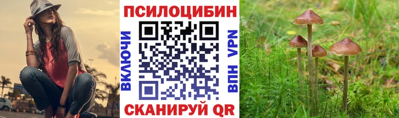 Галлюциногенные грибы MAGIC MUSHROOMS Купить закладки Неман